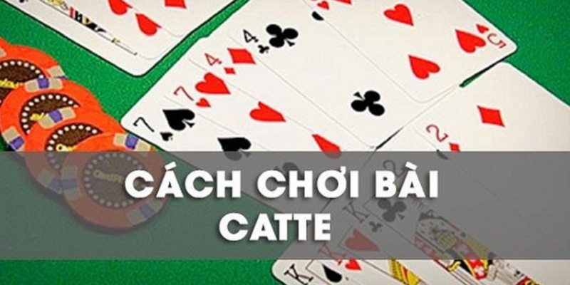 Hướng dẫn chi tiết cách chơi game bài Catte hiệu quả